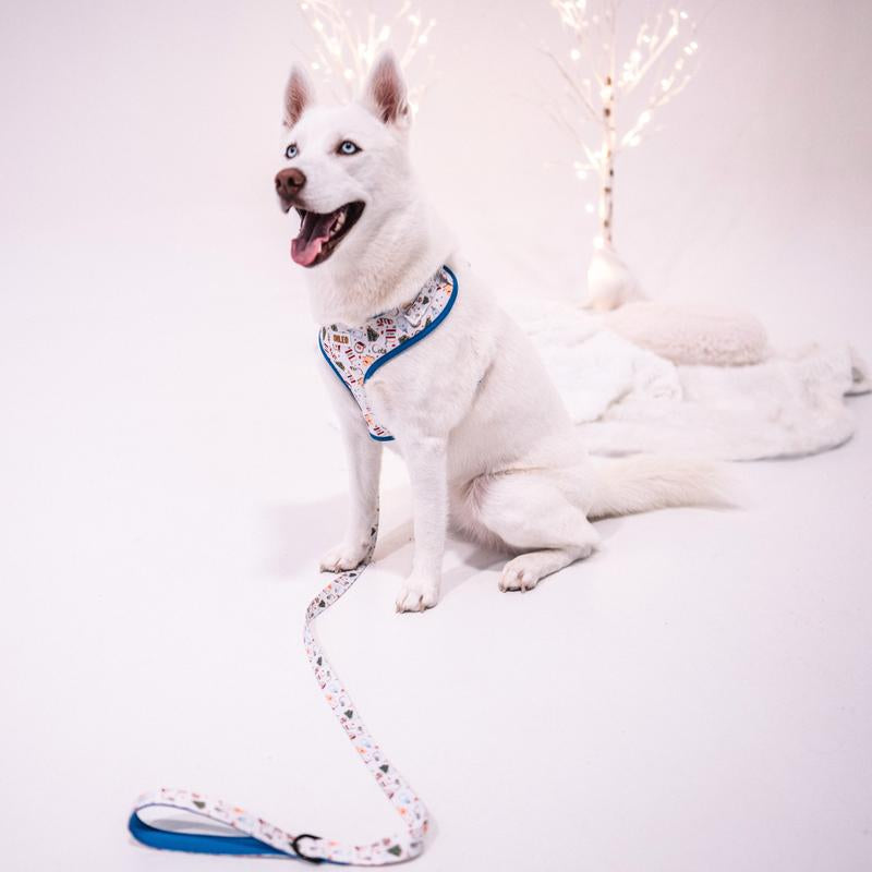 Chleo Pet Store ( Cookie Harness)