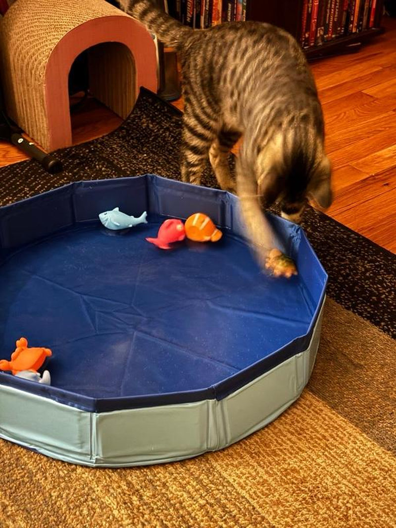 Foldable Pet Water Play Mat - Perfect for Outdoor Playtime
