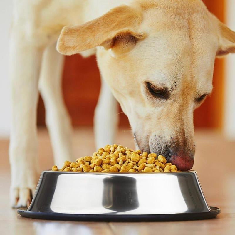 Stainless Steel Pet Bowl, 1 Count Anti-Slip Wide Rubber Base Pet Feeding Bowl for Small Cats and Dogs, Pet Food Bowl, Pet Drinking Bowl