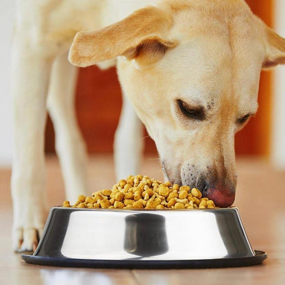 Stainless Steel Pet Bowl, 1 Count Anti-Slip Wide Rubber Base Pet Feeding Bowl for Small Cats and Dogs, Pet Food Bowl, Pet Drinking Bowl
