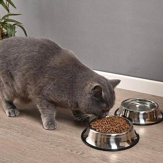 Stainless Steel Pet Bowl, 1 Count Anti-Slip Wide Rubber Base Pet Feeding Bowl for Small Cats and Dogs, Pet Food Bowl, Pet Drinking Bowl