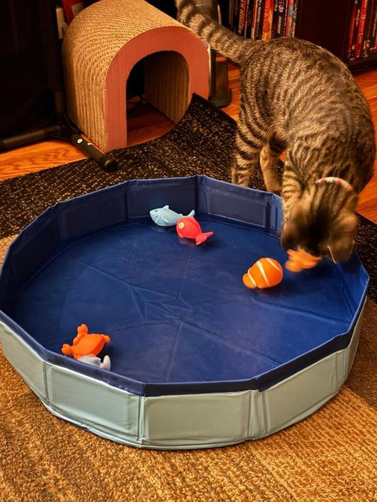 Foldable Pet Water Play Mat - Perfect for Outdoor Playtime